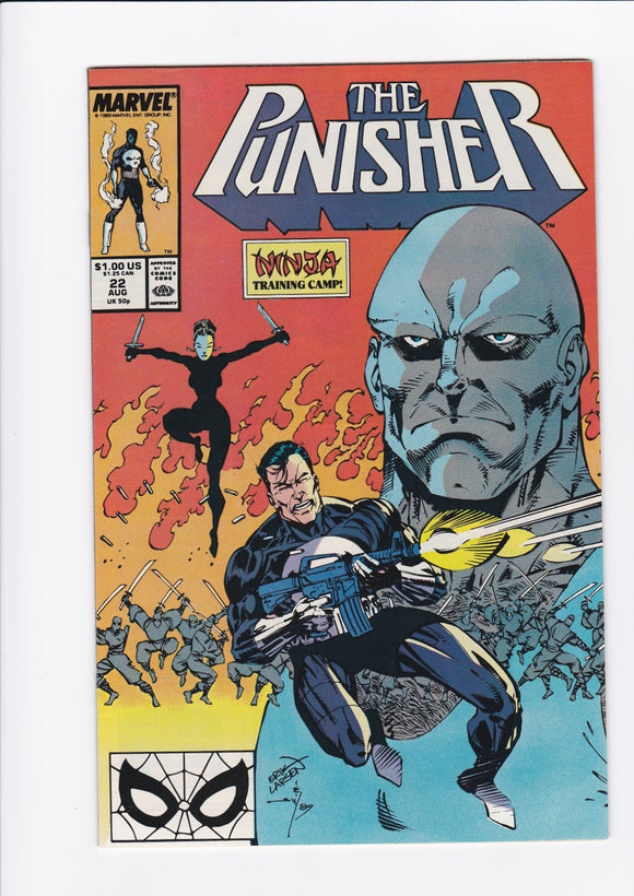 Punisher Vol. 2  # 22