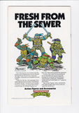 Teenage Mutant Ninja Turtles Adventures Vol. 2  # 1