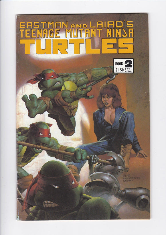 Teenage Mutant Ninja Turtles Vol. 1  # 2  Third Print
