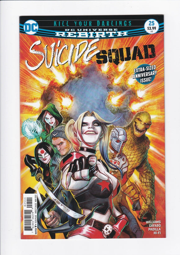 Suicide Squad Vol. 4  # 25