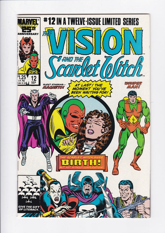 Vision and the Scarlet Witch Vol. 2  # 12