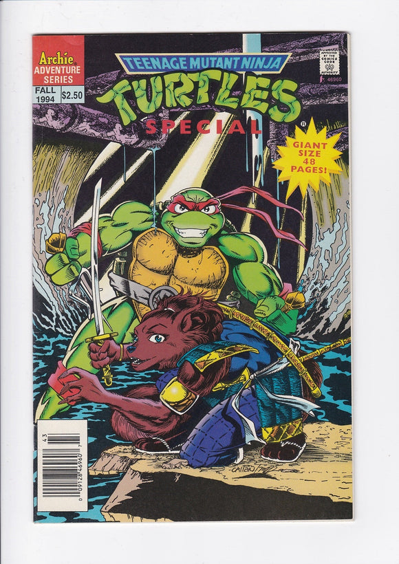 Teenage Mutant Ninja Turtles Adventures Vol. 2  Special # 10  Newsstand