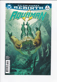 Aquaman Vol. 8  # 4  Middleton Variant