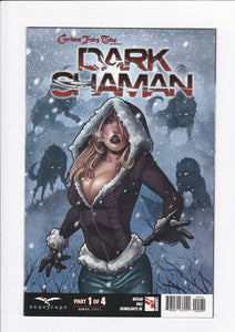 Grimm Fairy Tales Presents: Dark Shaman  # 1 C