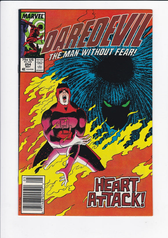 Daredevil Vol. 1  # 254  Newsstand