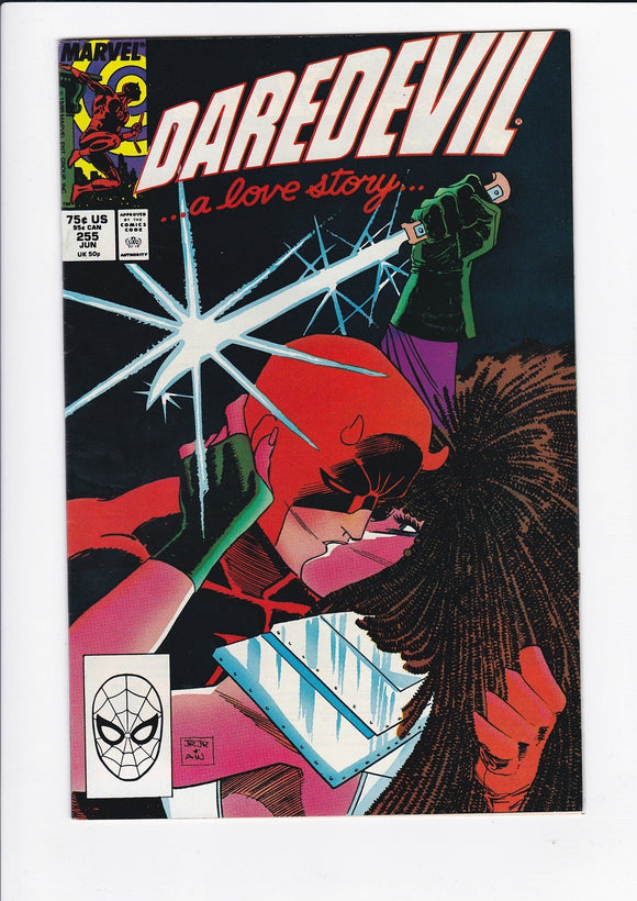 Daredevil Vol. 1  # 255