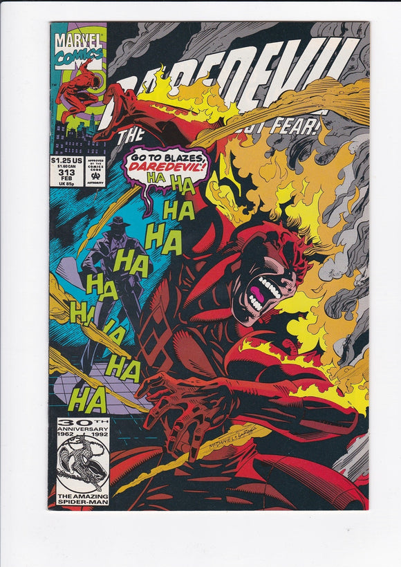 Daredevil Vol. 1  # 313