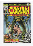 Conan The Barbarian Vol. 1  #  43