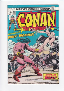 Conan The Barbarian Vol. 1  #  49