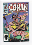 Conan The Barbarian Vol. 1  #  165