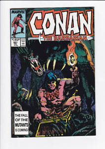 Conan The Barbarian Vol. 1  #  201