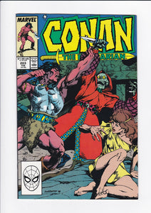 Conan The Barbarian Vol. 1  #  203