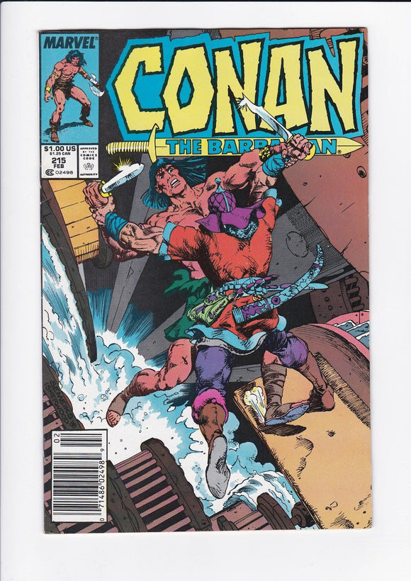 Conan The Barbarian Vol. 1  #  215  Newsstand