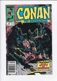 Conan The Barbarian Vol. 1  #  217 Newsstand