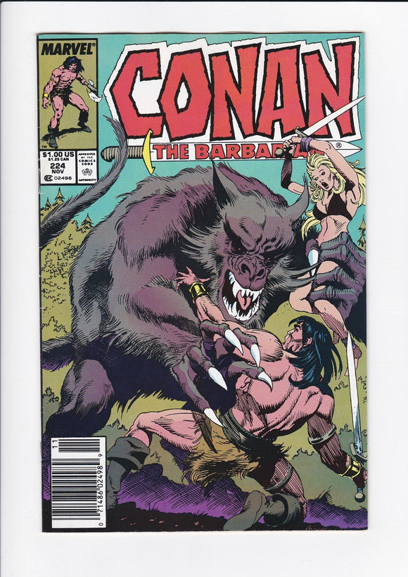 Conan The Barbarian Vol. 1  #  224  Newsstand