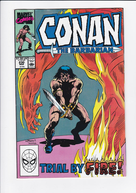 Conan The Barbarian Vol. 1  #  230
