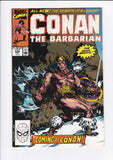 Conan The Barbarian Vol. 1  #  232