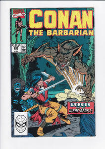 Conan The Barbarian Vol. 1  #  234