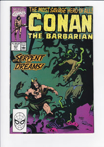 Conan The Barbarian Vol. 1  #  237