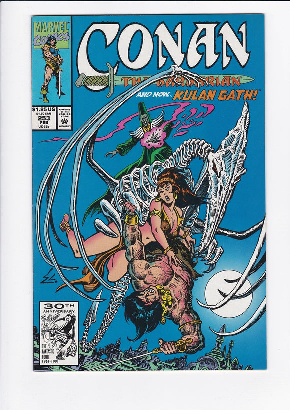 Conan The Barbarian Vol. 1  #  253