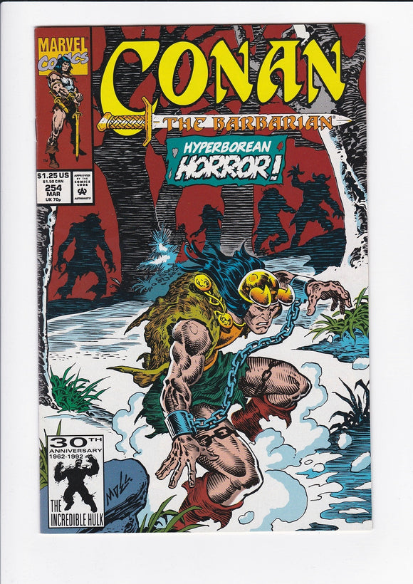 Conan The Barbarian Vol. 1  #  254