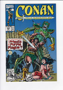 Conan The Barbarian Vol. 1  #  255