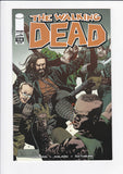 Walking Dead  # 114