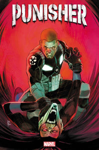 PUNISHER #3