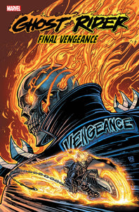 GHOST RIDER FINAL VENGEANCE #1 CHAD HARDIN VAR