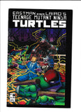 Teenage Mutant Ninja Turtles Vol. 1  # 9